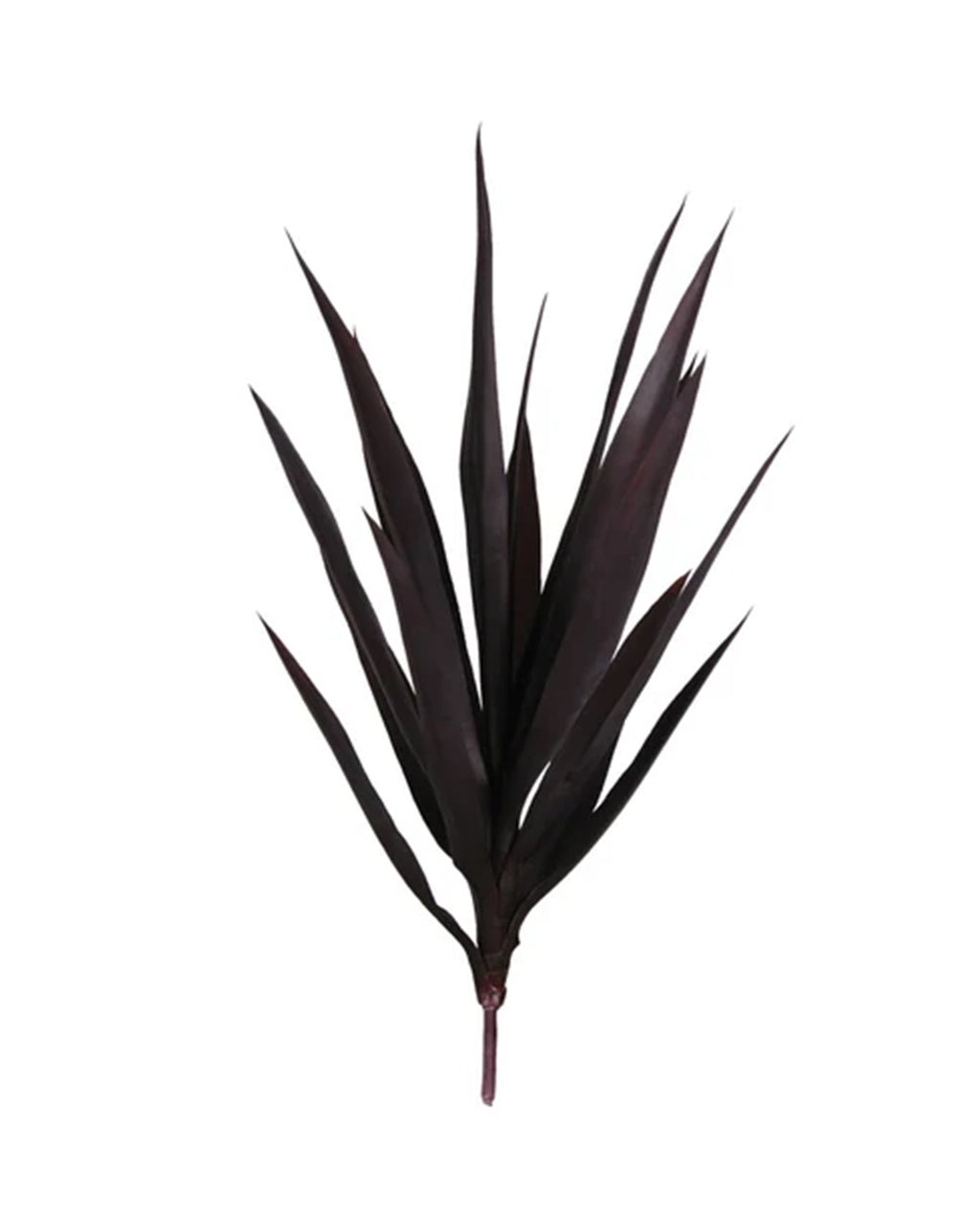 P1636-BABY BLUE AGAVE HEAD