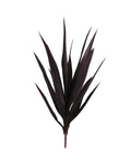 P1636-BABY BLUE AGAVE HEAD