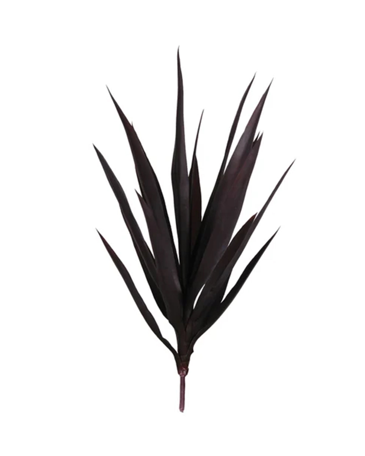 P1636-BABY BLUE AGAVE HEAD