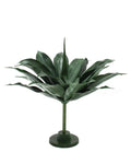 P2836-GIANT GREEN AGAVE PLANT