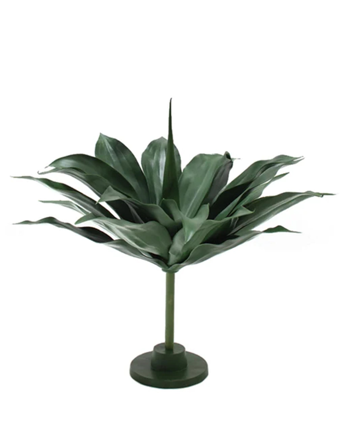 P2836-GIANT GREEN AGAVE PLANT