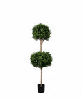 PP4036DB-BOXWOOD DOUBLE BALL TREE