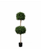 PP4036DB-BOXWOOD DOUBLE BALL TREE