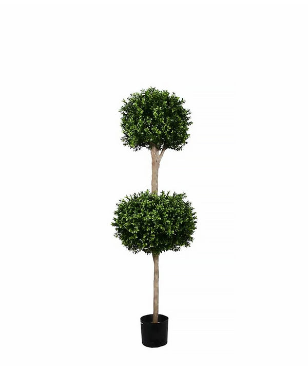 PP4036DB-BOXWOOD DOUBLE BALL TREE