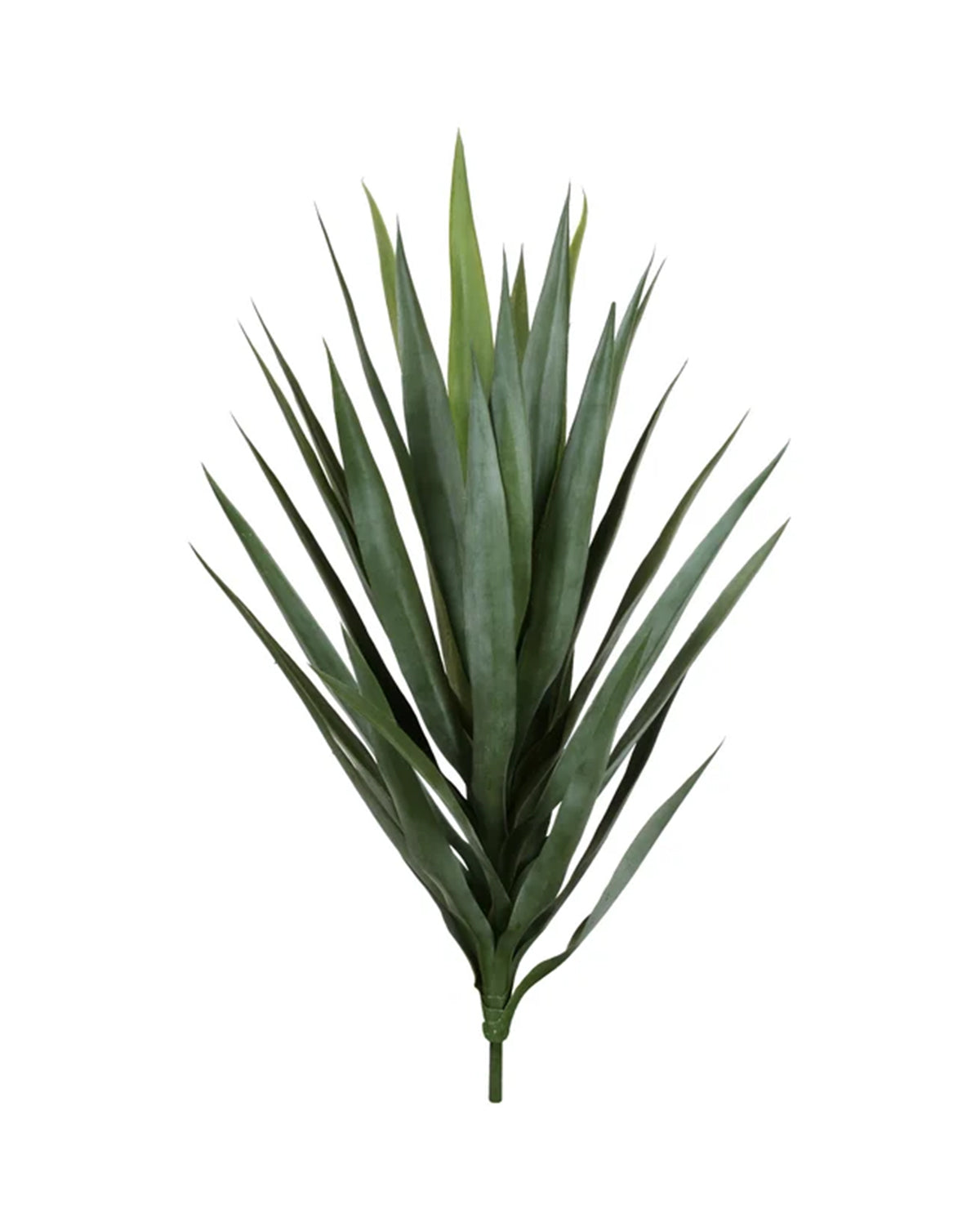 P1636-BABY BLUE AGAVE HEAD