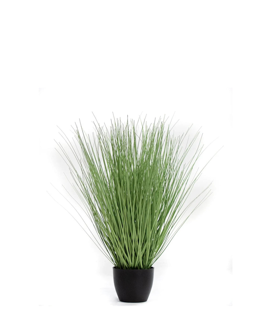 P1540R-RIVER GRASS