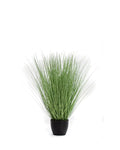 P1540R-RIVER GRASS