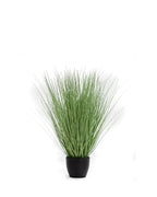 P1540R-RIVER GRASS