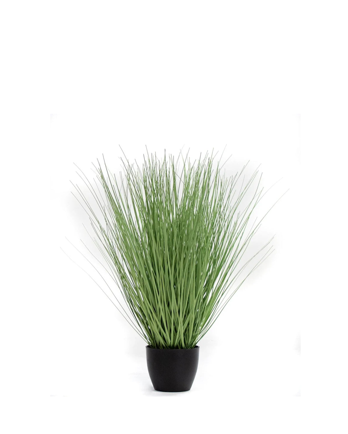 P1540R-RIVER GRASS