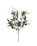 P2845-ITALIAN OLIVE SPRAY