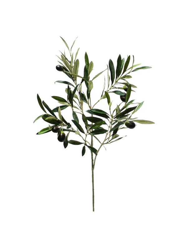 P2845-ITALIAN OLIVE SPRAY