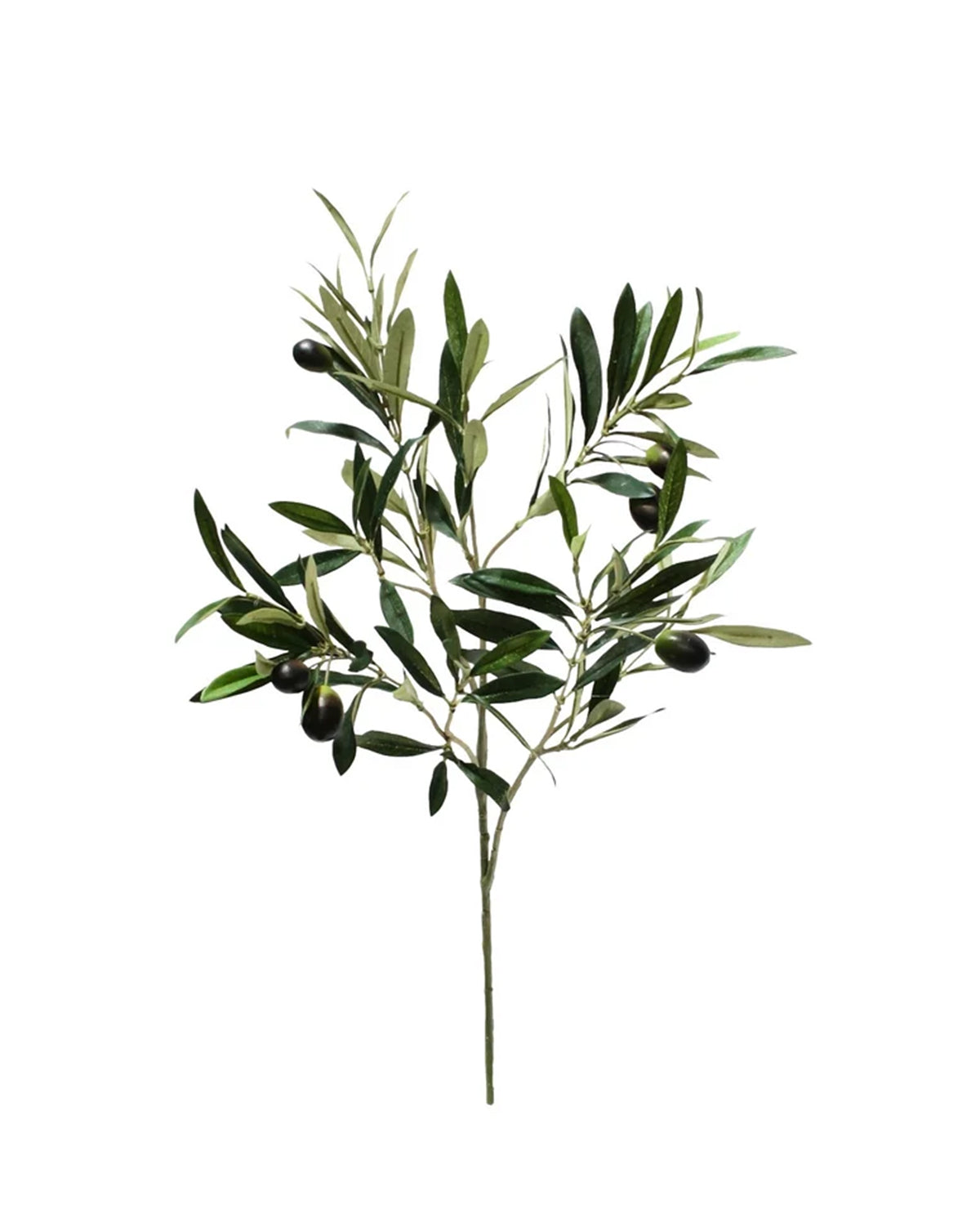 P2845-ITALIAN OLIVE SPRAY