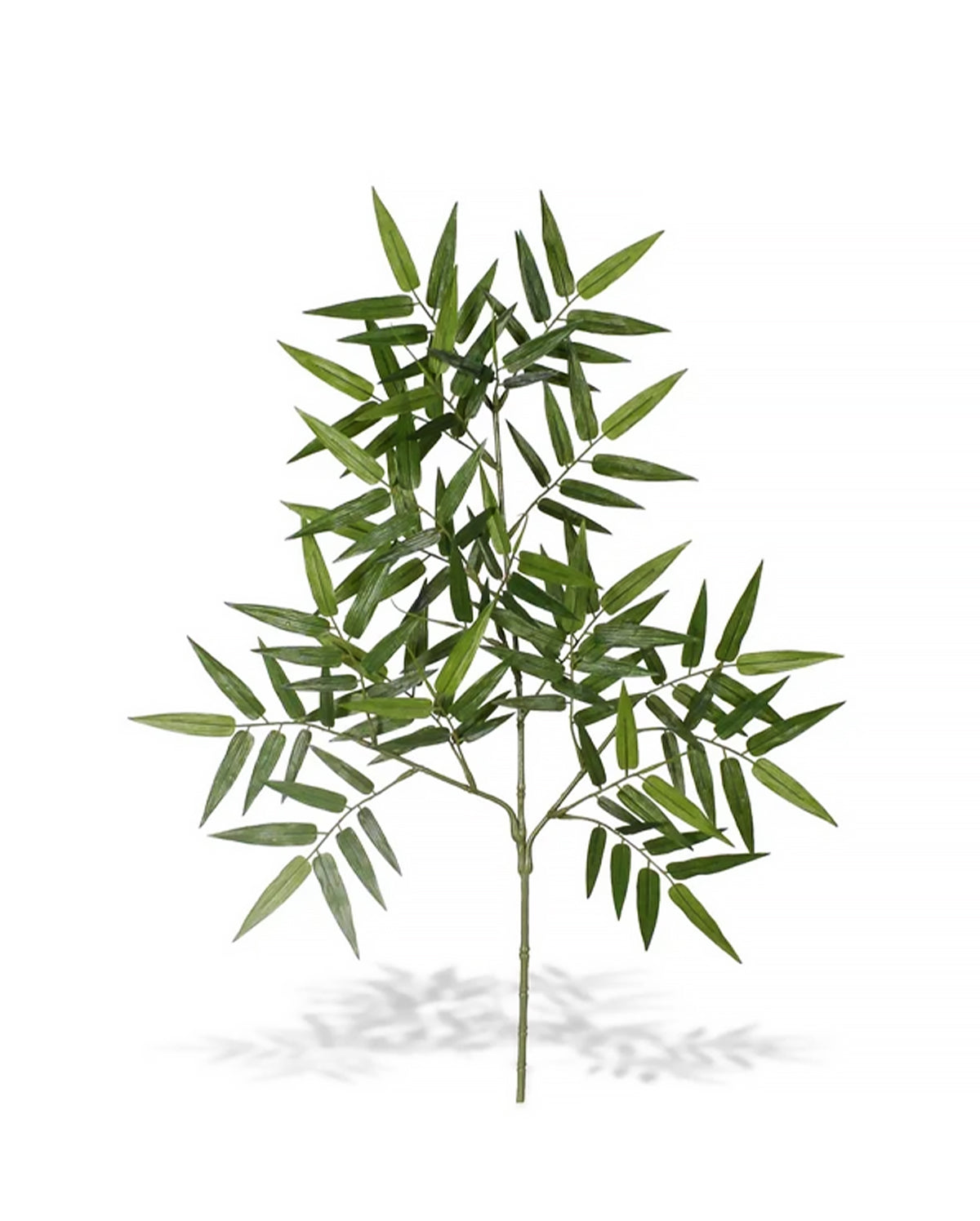 ORIENTAL BAMBOO SPRAY