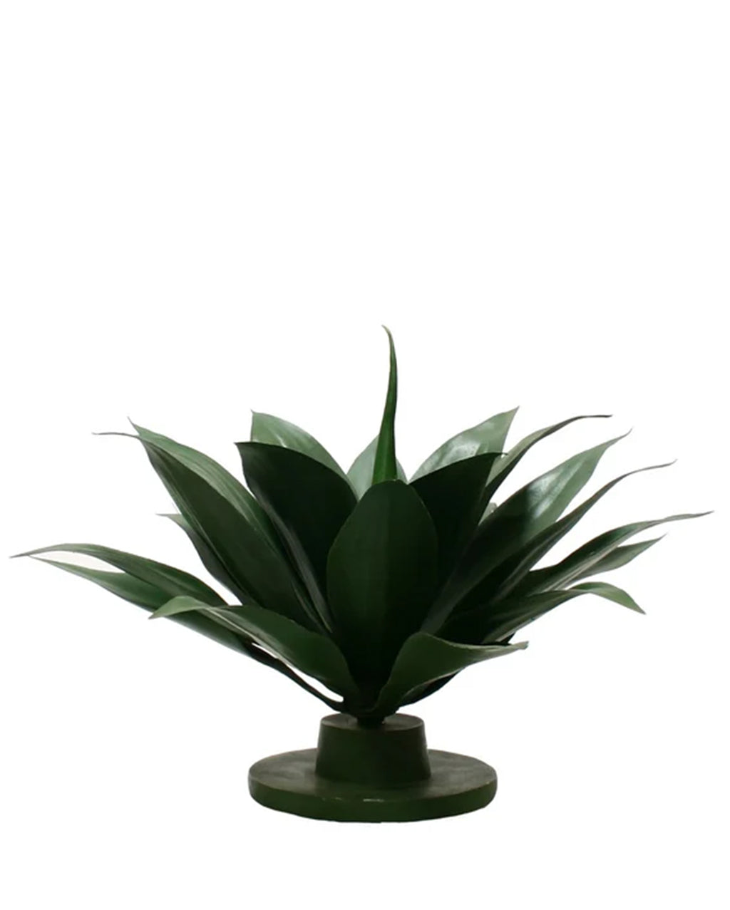 P2835-GREEN AGAVE
