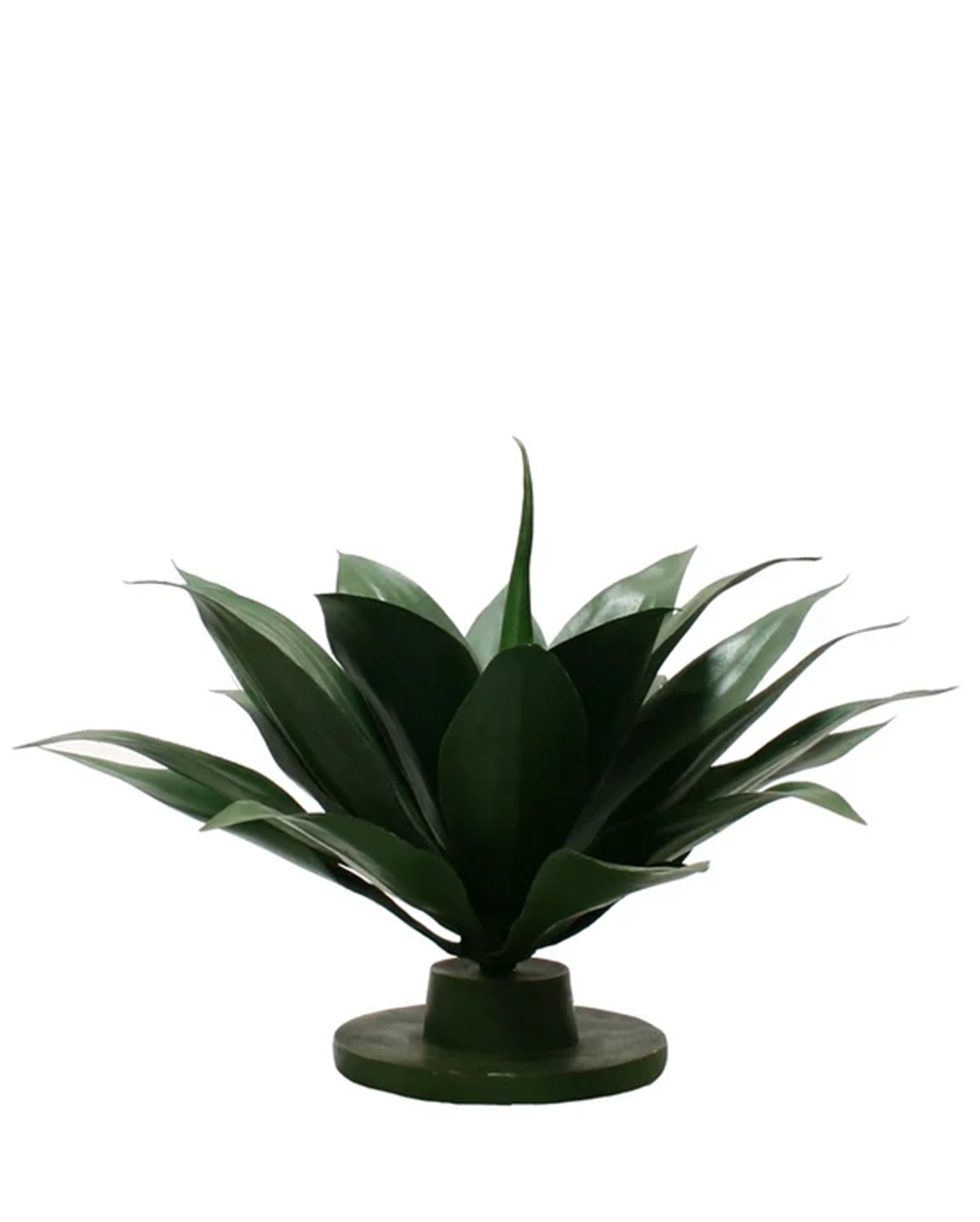P2835-GREEN AGAVE