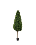 PP4036C-BOXWOOD TOWER