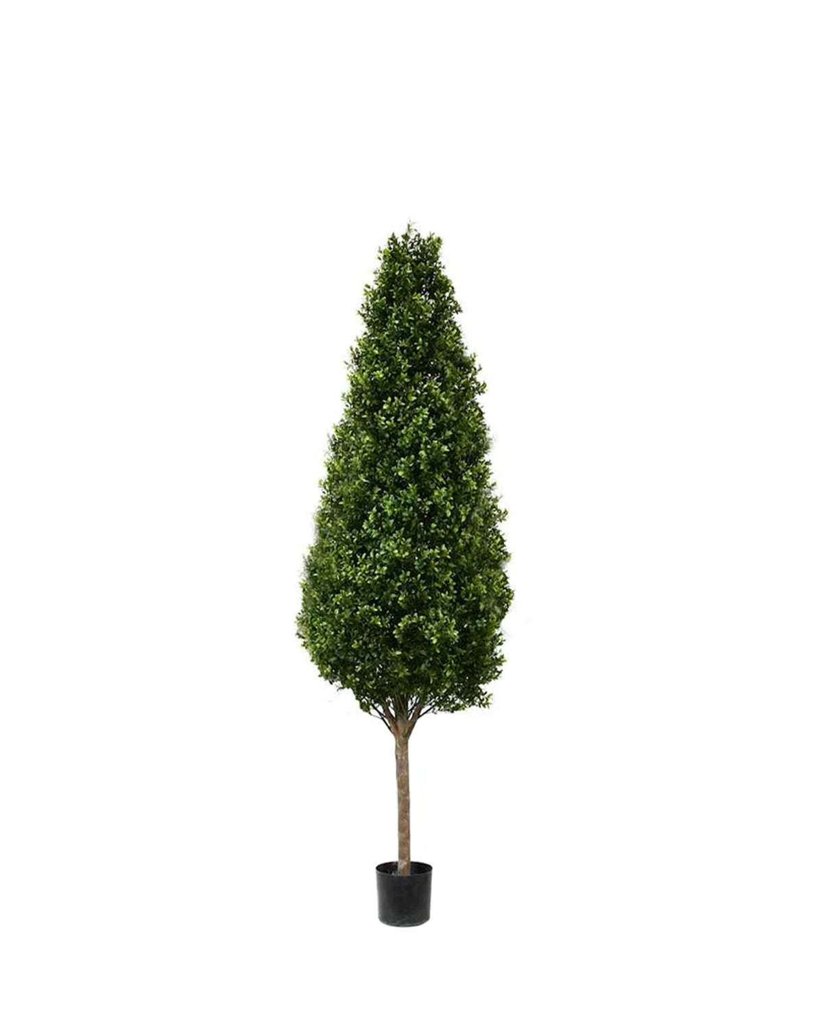 PP4036C-BOXWOOD TOWER