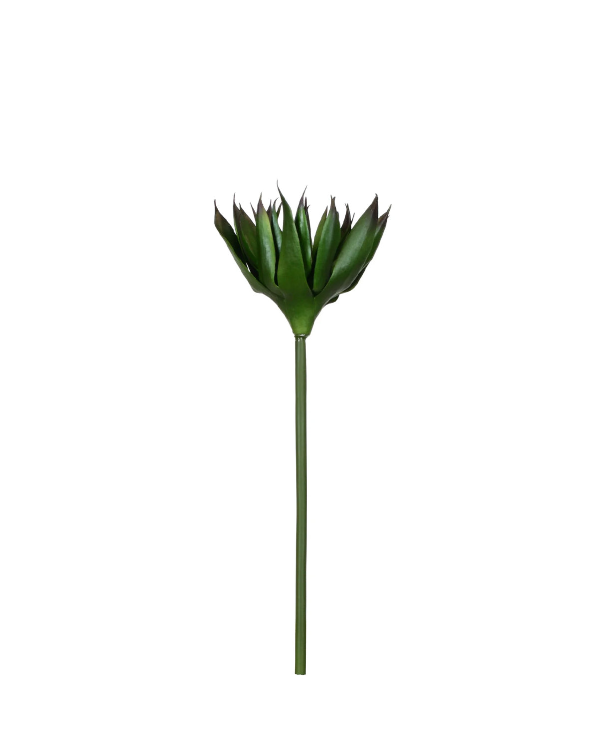 P2827-BLACK AGAVE STEM