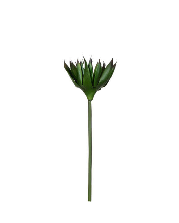 P2827-BLACK AGAVE STEM