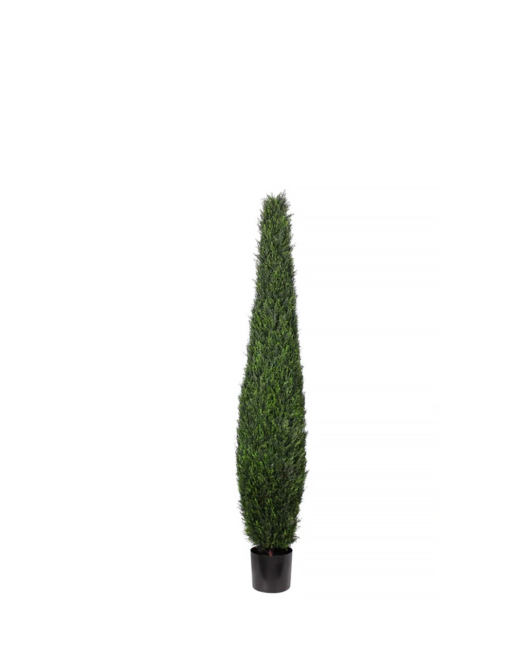 P3025-CYPRESS TREE TOWER