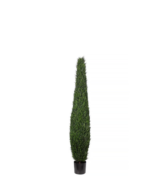 P3025-CYPRESS TREE TOWER