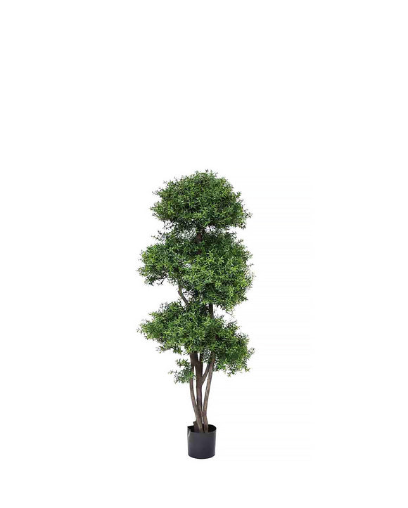 PP4039-TEA LEAF TREE