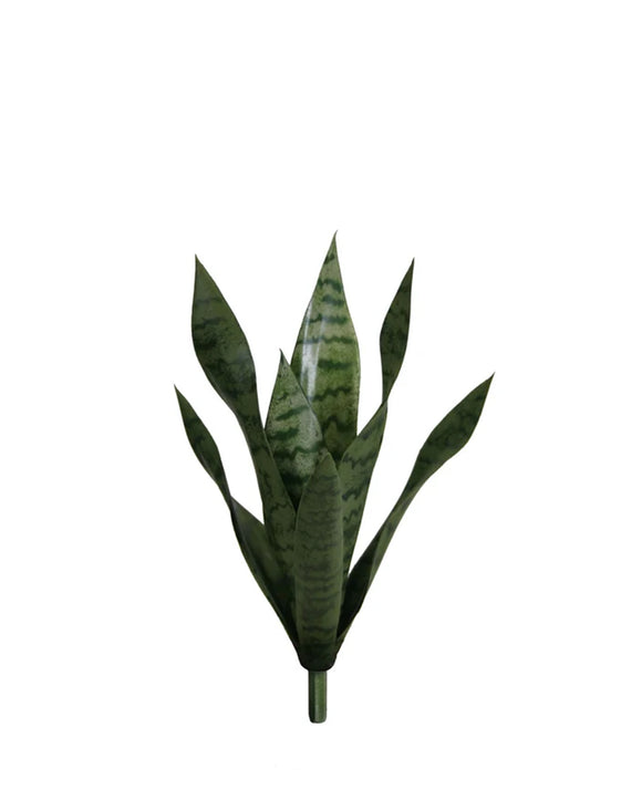 P1763N-BABY SANSERVERIA BUSH