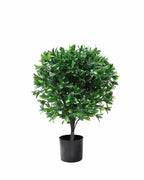 P3028-LAUREL