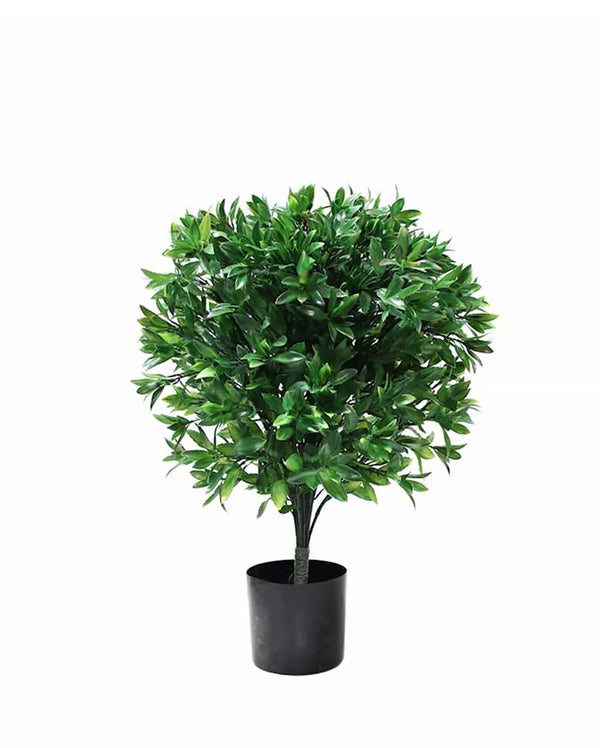 P3028-LAUREL