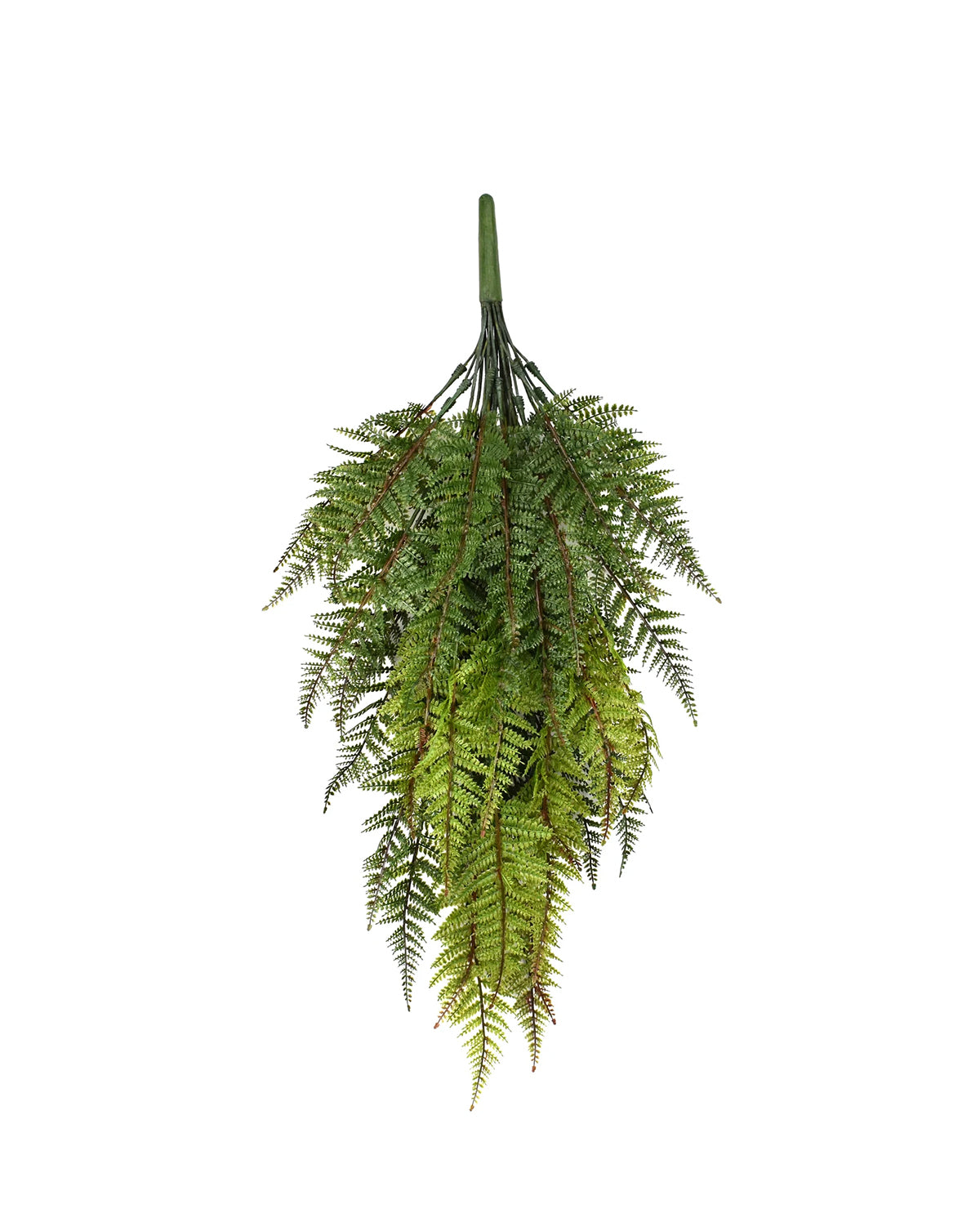 P1193-RESISTANT FERN, 12 FRONDS, 50 LEAVES, 2-TONE GREEN