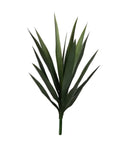 P1636-BABY BLUE AGAVE HEAD