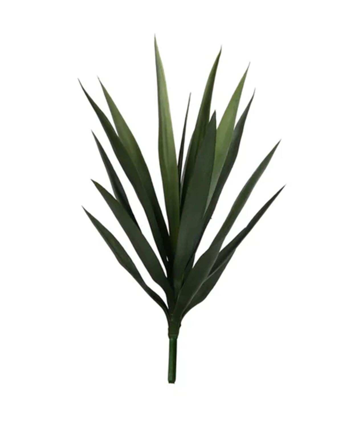 P1636-BABY BLUE AGAVE HEAD