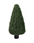 P3021-POND CYPRESS TOPIARY