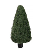 P3021-POND CYPRESS TOPIARY
