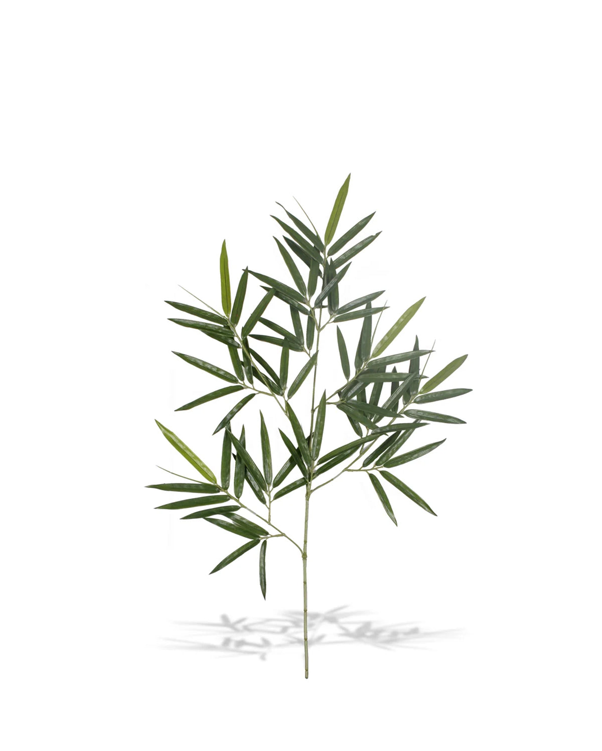 P2857-ROYAL BAMBOO SPRAY