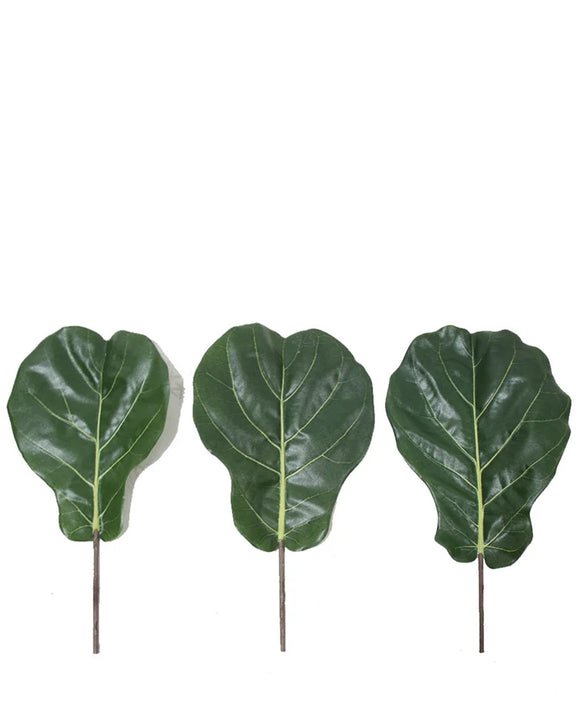 P2886A- FIDDLE LEAF SET