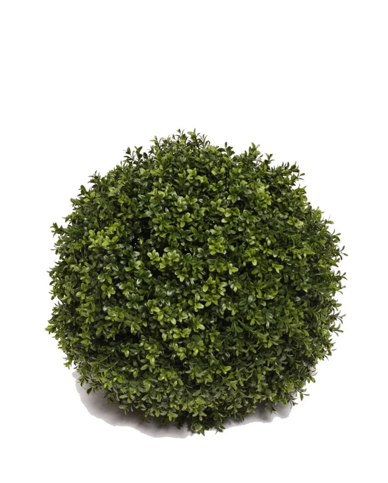 PP4036SB-BOXWOOD BALL