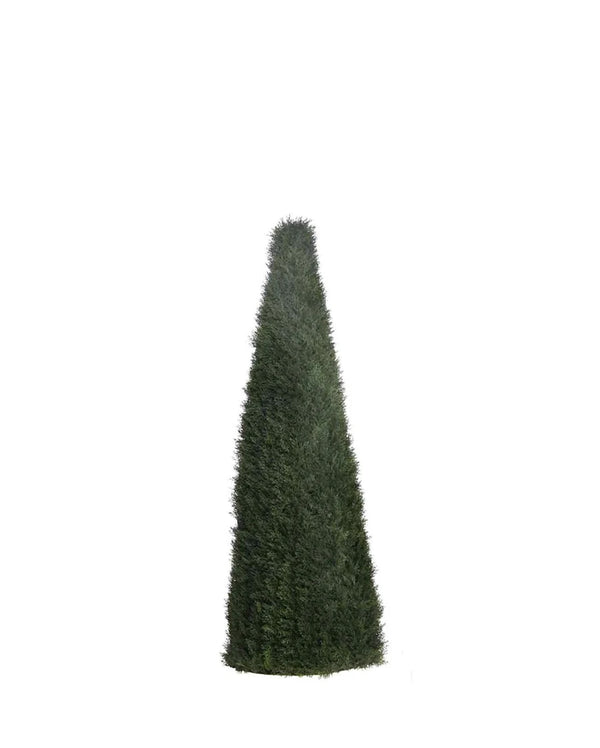 P3021N - UNPTD POND CYPRESS TOPIARY W