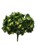P2843 - GERMAN VIOLET BUSH X 14 W/348LVS, 174FLRS