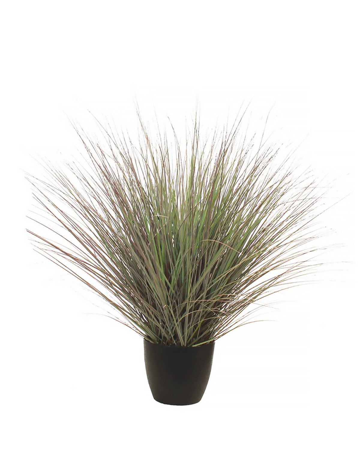 P1540R-RIVER GRASS