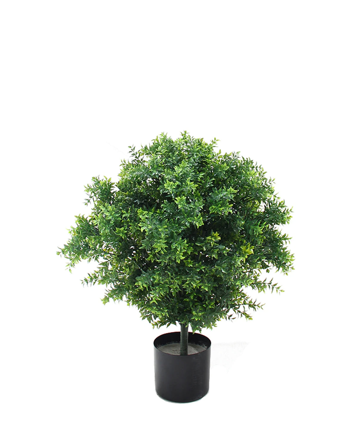 P3024-BASIL TOPIARY W/874LVS (UV/OUTDOOR)