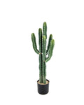 P6105-CACTUS UV RESISTANT FOR OUTDOORS
