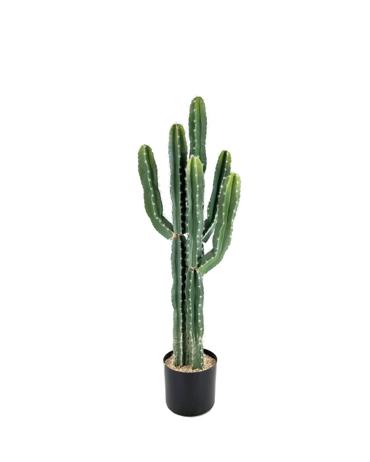 P6105-CACTUS UV RESISTANT FOR OUTDOORS