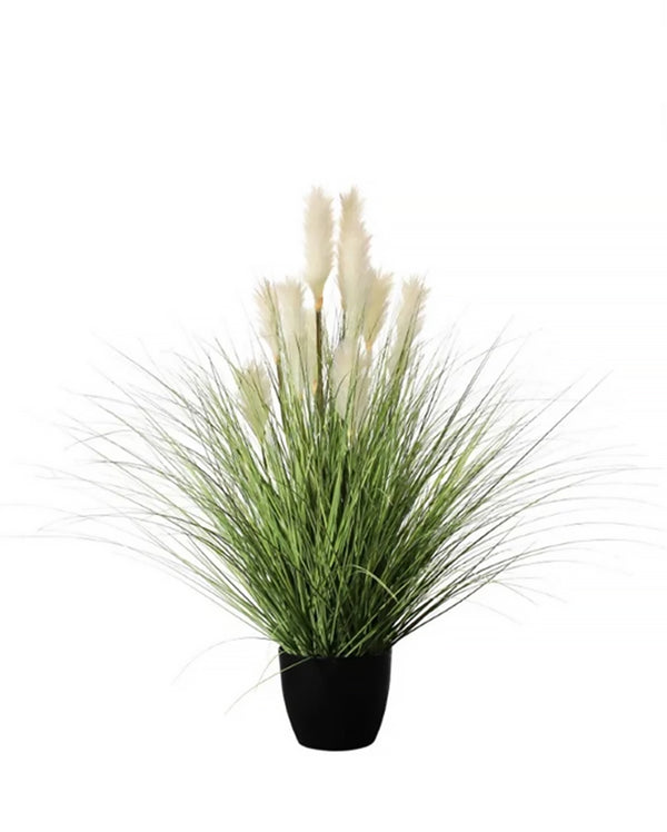 P1527R-REED RIVER GRASS