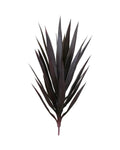 P1636-BABY BLUE AGAVE HEAD