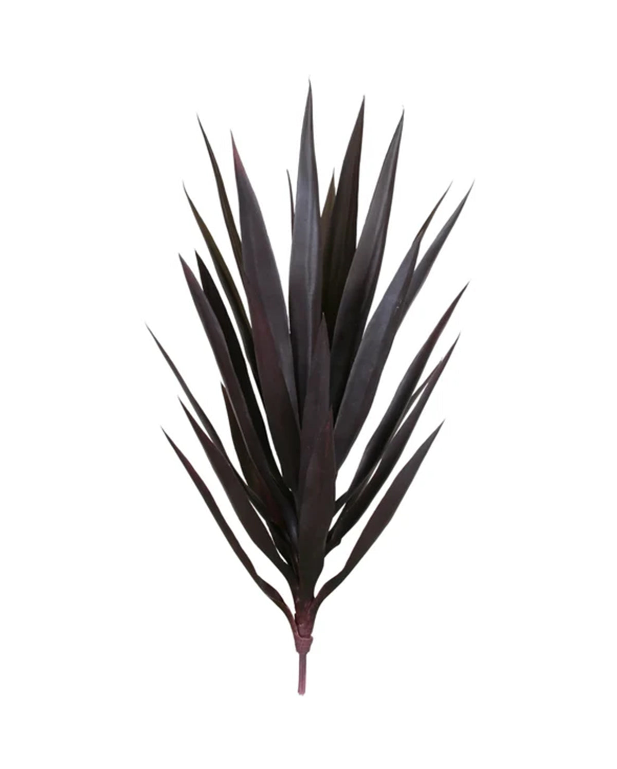 P1636-BABY BLUE AGAVE HEAD