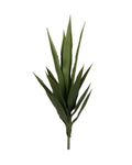 P1636-BABY BLUE AGAVE HEAD