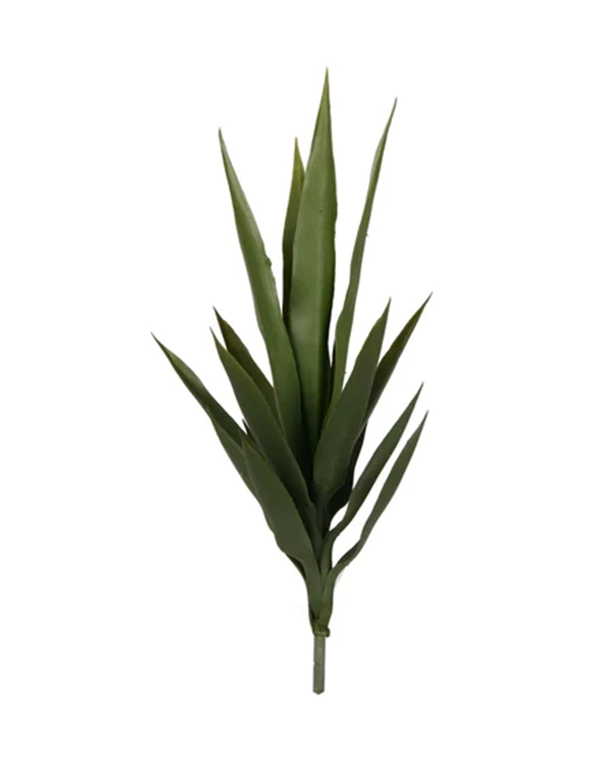 P1636-BABY BLUE AGAVE HEAD