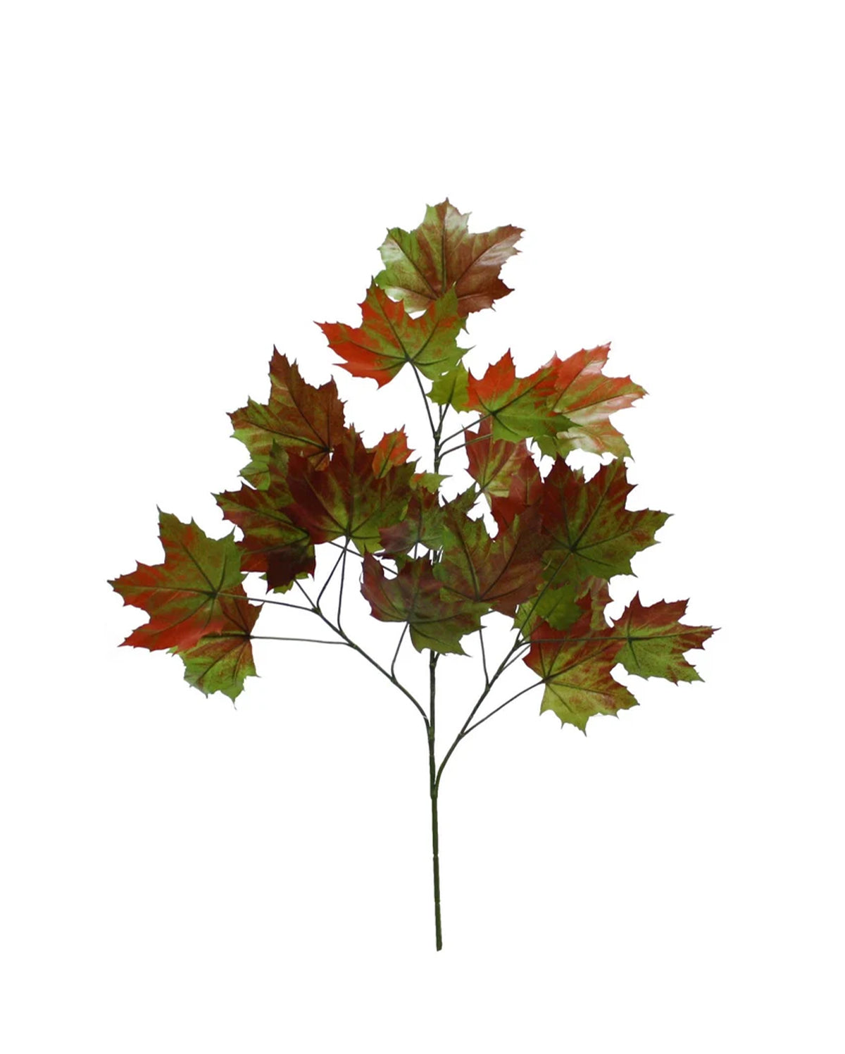 P2862-SUGAR MAPLE SPRAY