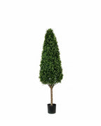 PP4036C-BOXWOOD TOWER